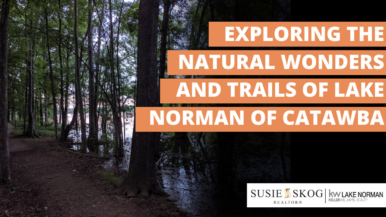 Exploring the Natural Wonders and Trails of Lake Norman of Catawba
