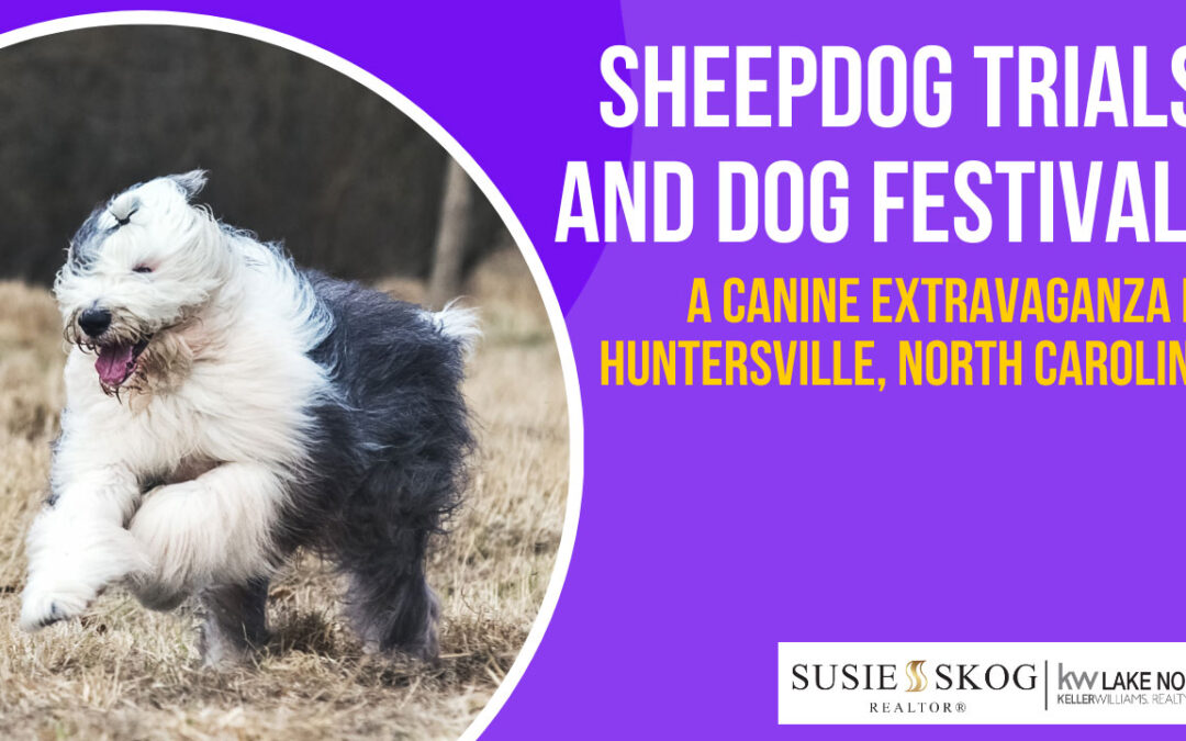 Sheepdog Trials and Dog Festival: A Canine Extravaganza in Huntersville, North Carolina
