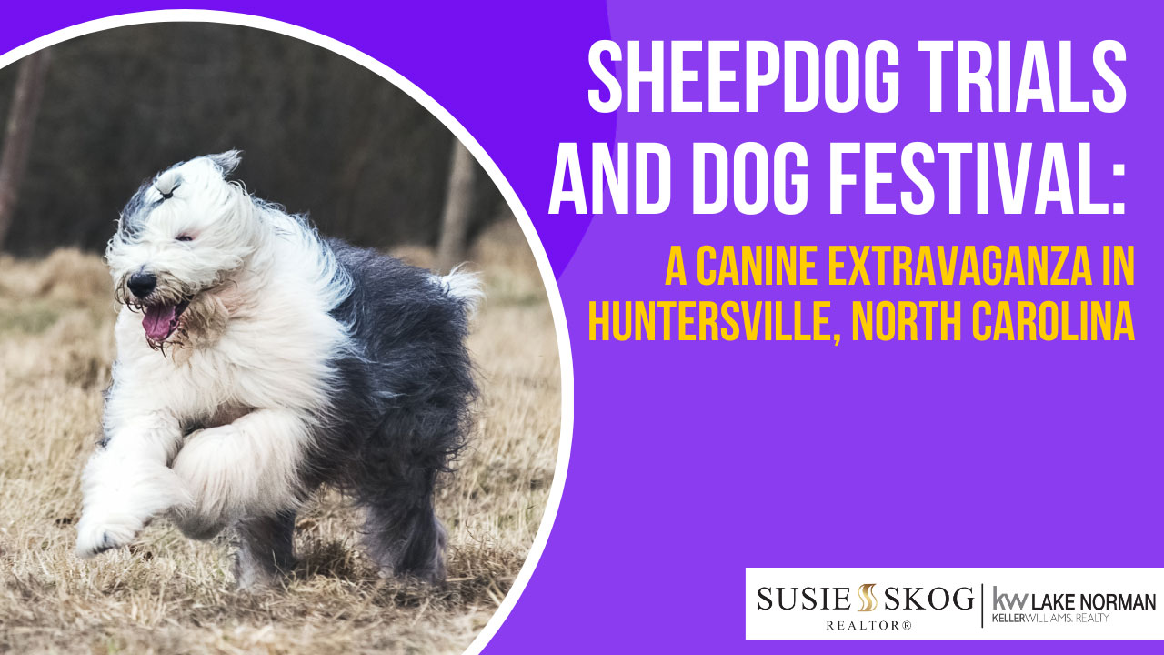 Sheepdog Trials and Dog Festival: A Canine Extravaganza in Huntersville, North Carolina
