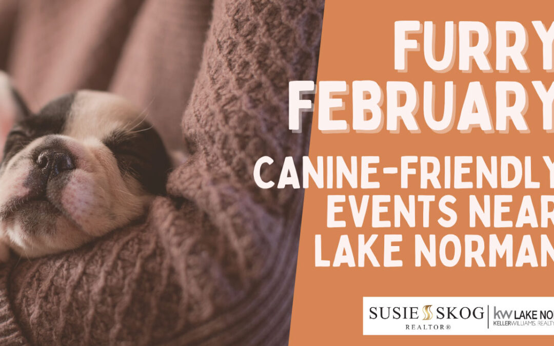 Furry February: Canine-Friendly Events near Lake Norman