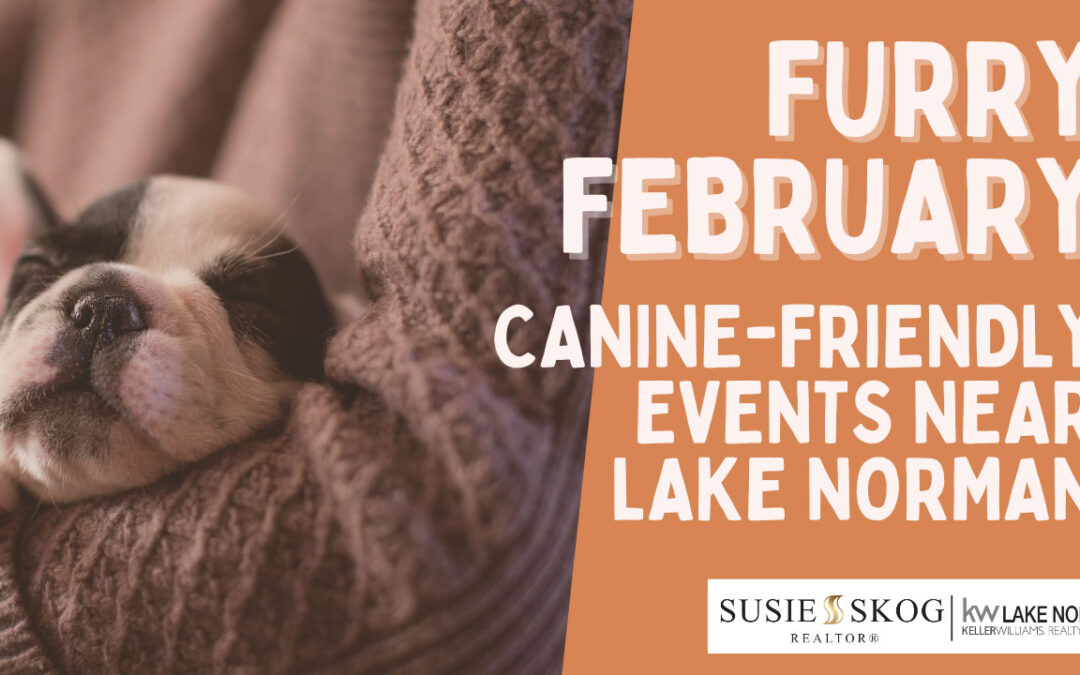 Furry February: Canine-Friendly Events near Lake Norman