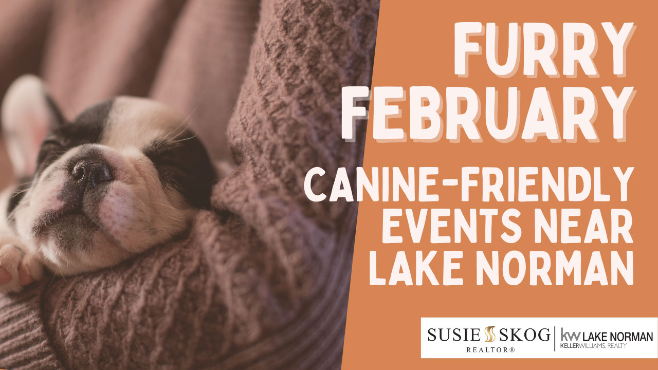 Furry February: Canine-Friendly Events near Lake Norman