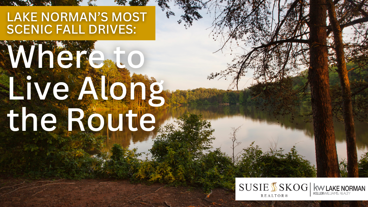 Scenic Drives